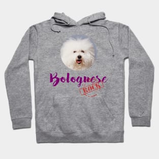 Bolognese Rock! Hoodie